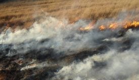 MDC Hosts Prescribed Burn Workshop