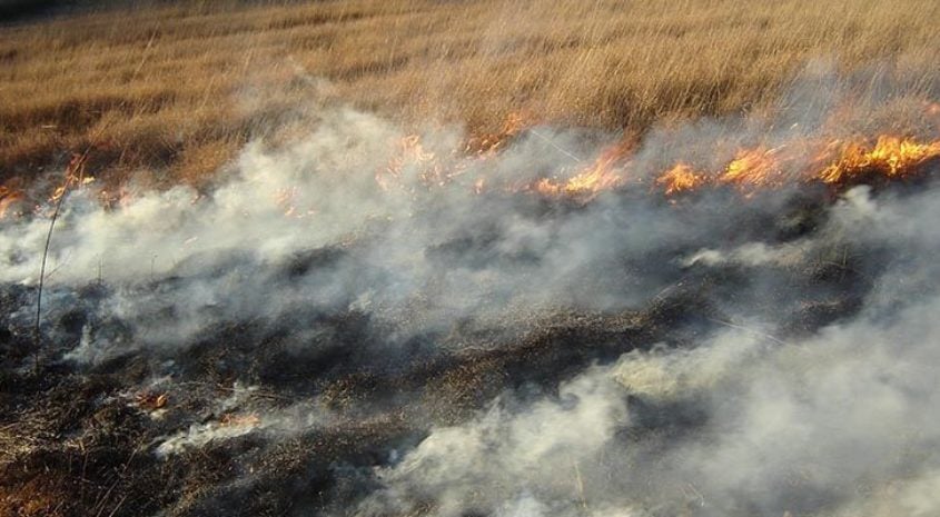 MS Prescribed Burning Program Accepting Applications