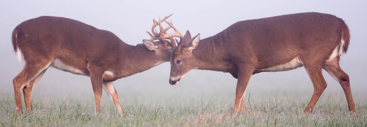 Pennsylvania