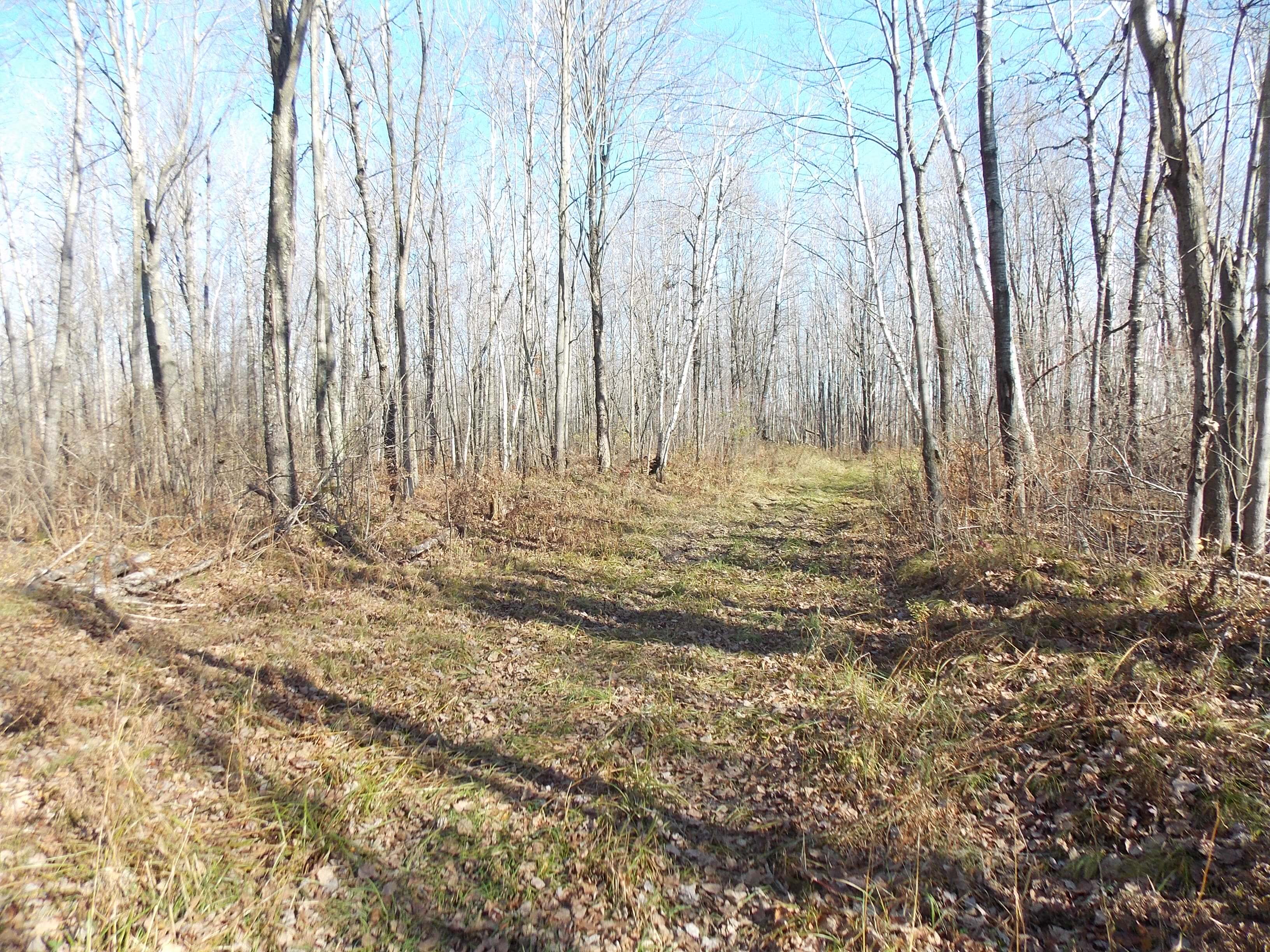 hunting sites