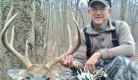Don Bales
