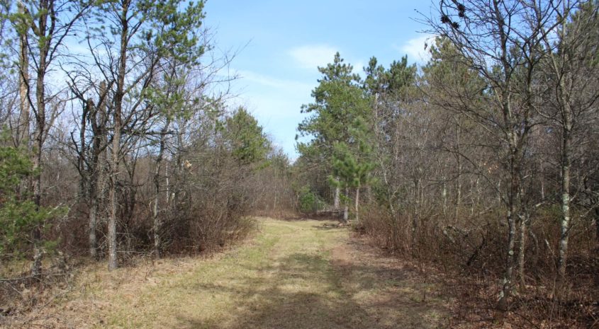 The Hidden Value of Trail Systems