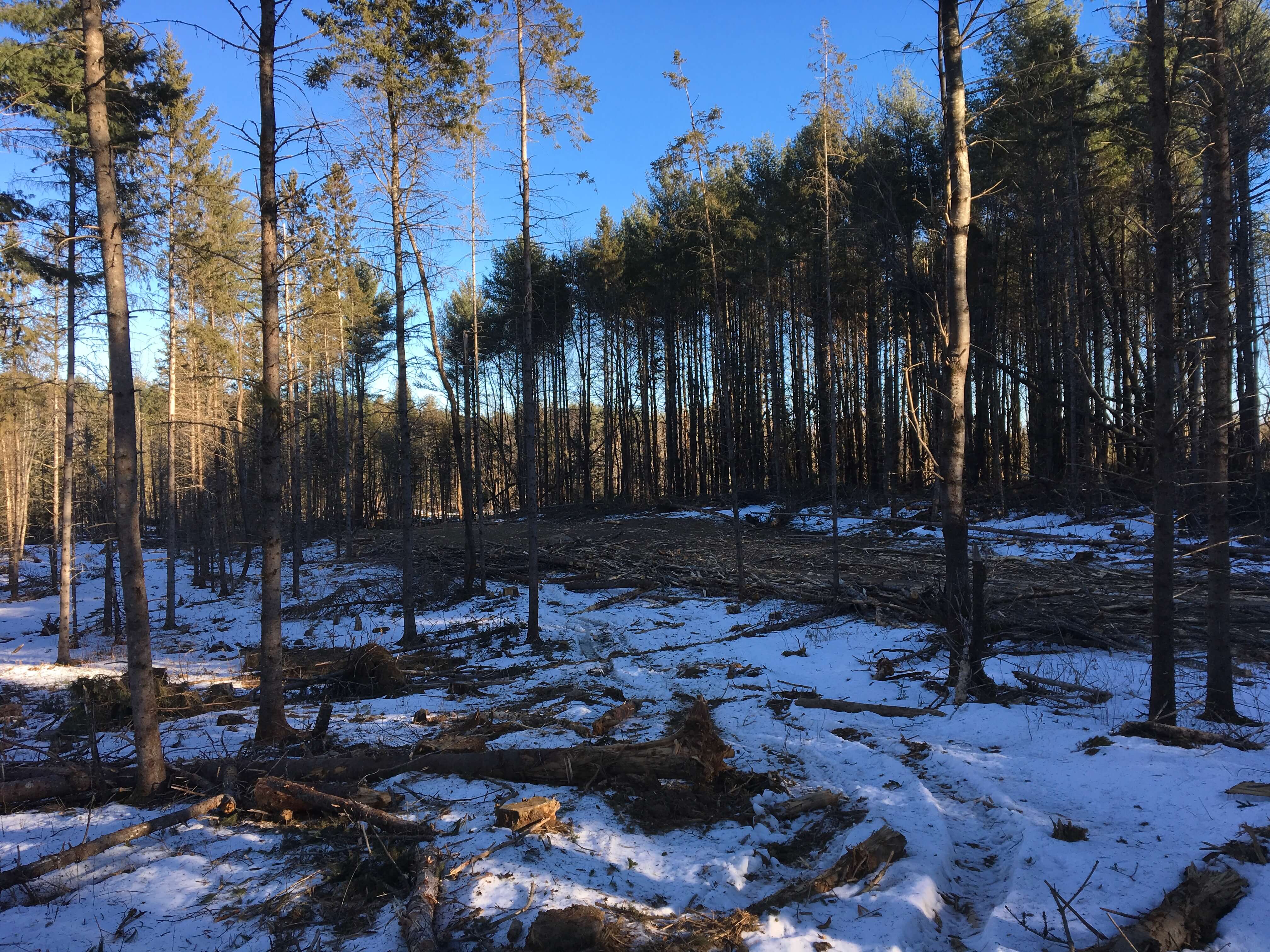 Hunting Land For Sale in Maine Hunting Properties for sale in Maine