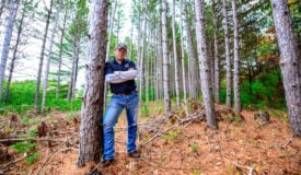 Timber Management on Hunting Lands