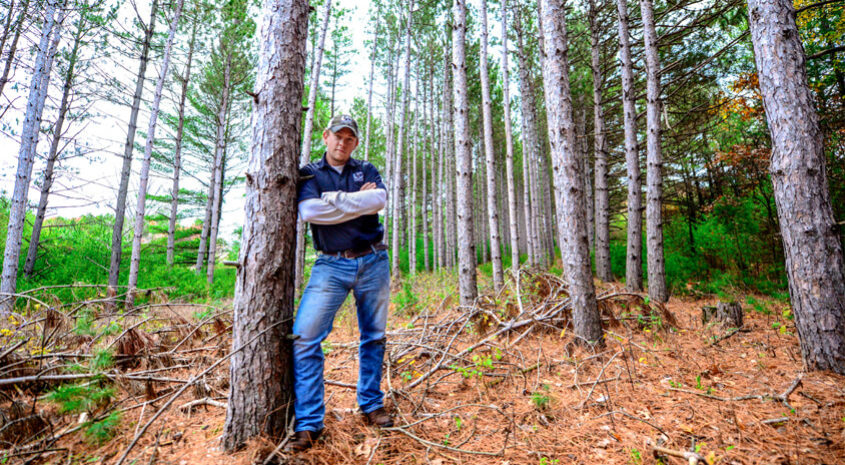 Timber Management on Hunting Lands