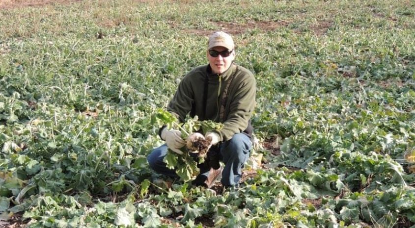Improve Your Hunting Property