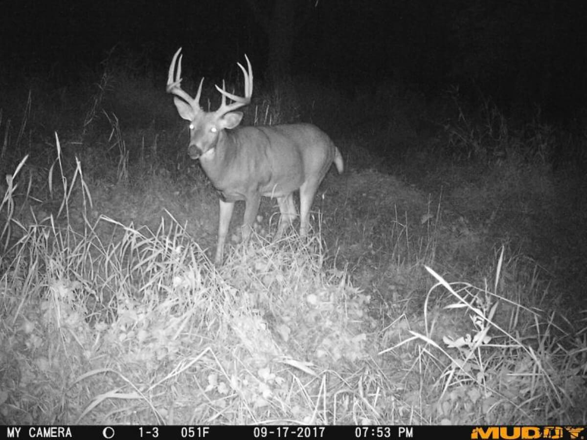 La Crosse Hunting Land UC Hunting Properties