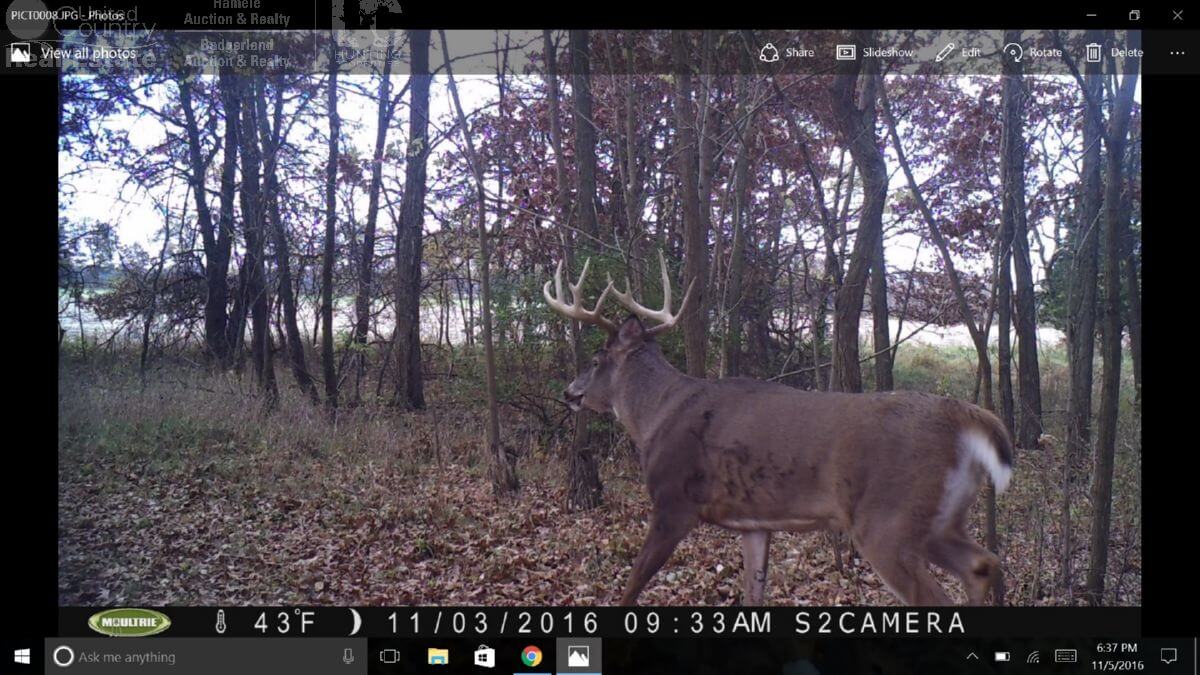 Columbia Hunting Land UC Hunting Properties