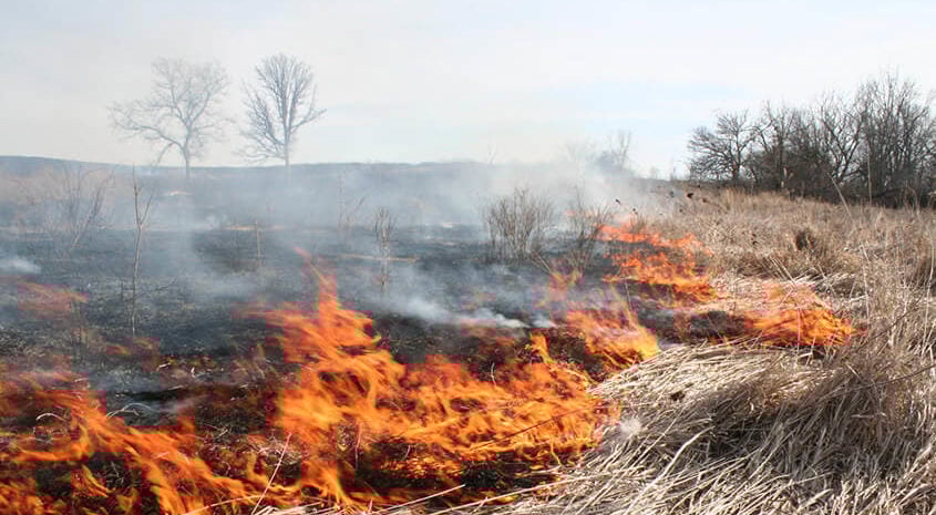 Controlled Burns Boost Hunting Land Values