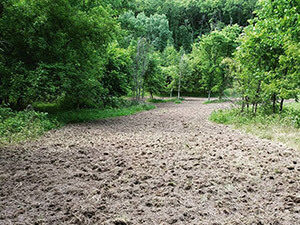 Food Plot