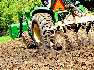 Food Plot