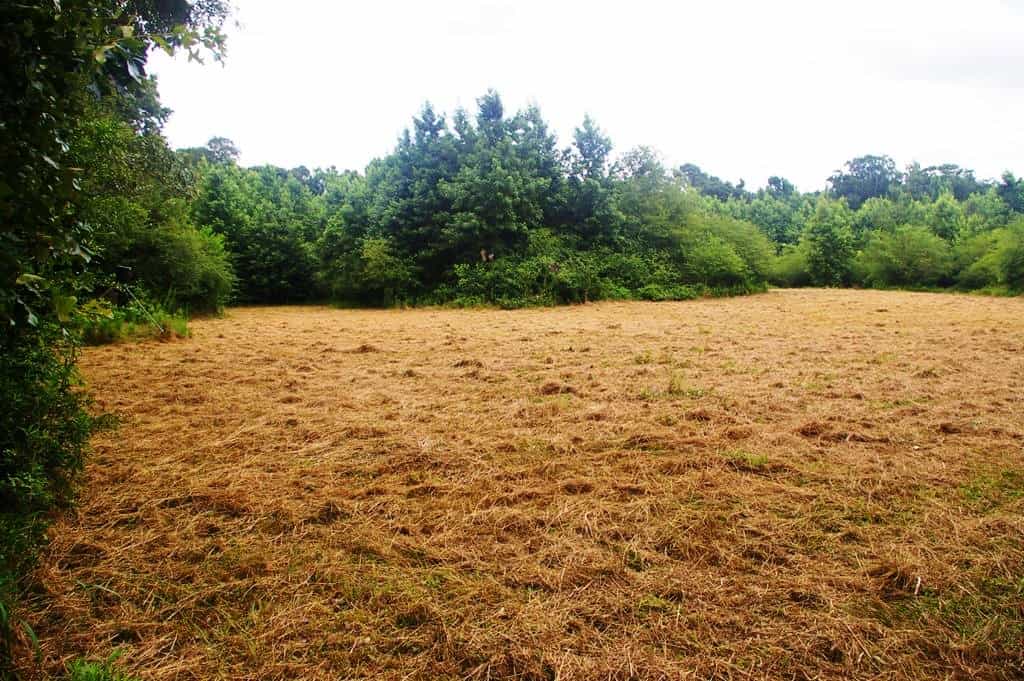 Hunting Land For Sale in Mississippi Hunting Properties for sale in Mississippi