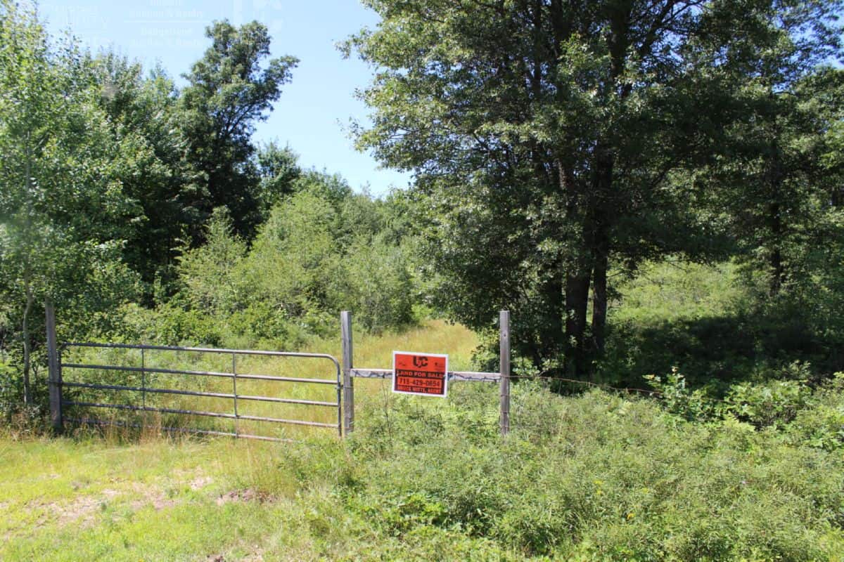 Juneau Hunting Land UC Hunting Properties