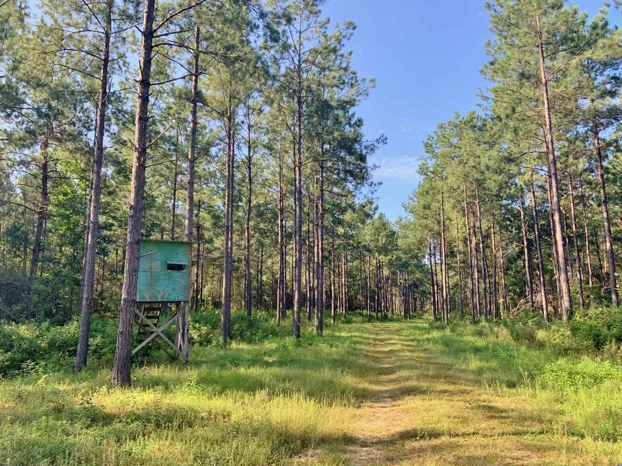 Land For Sale On The Pearl River