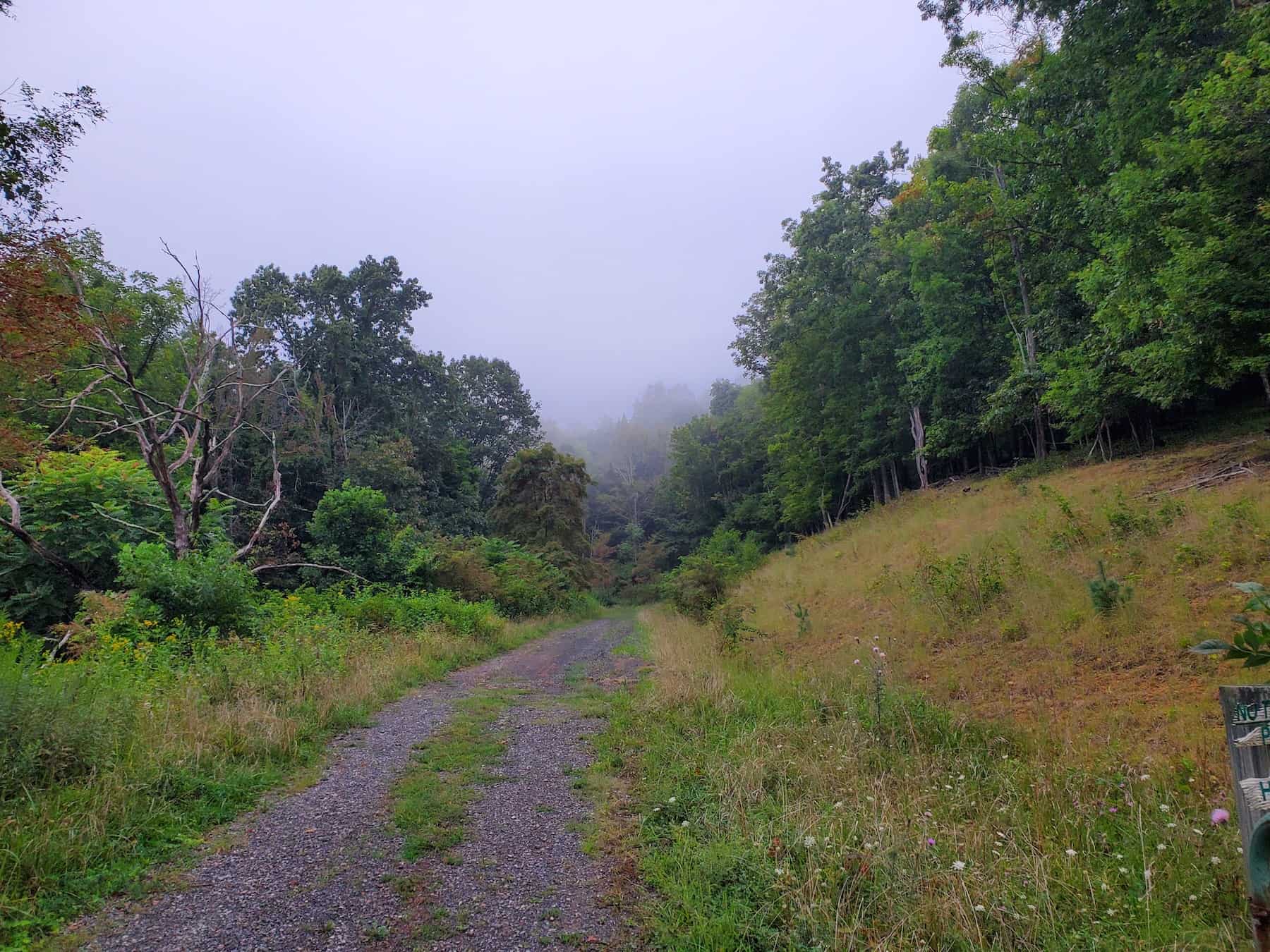 Pulaski Hunting Land UC Hunting Properties