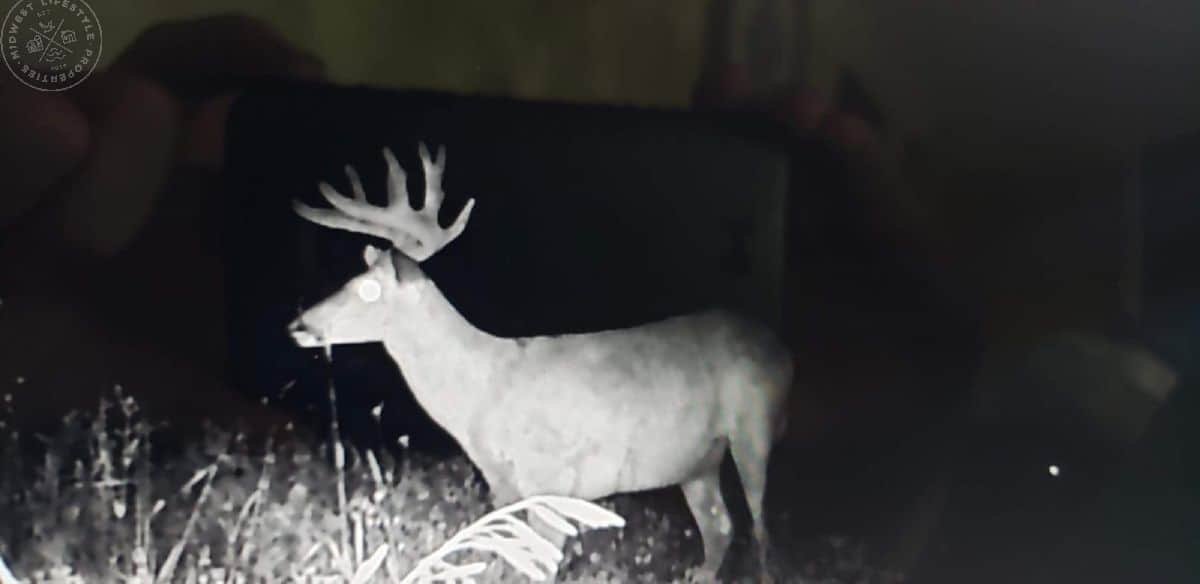 Waupaca Hunting Land UC Hunting Properties