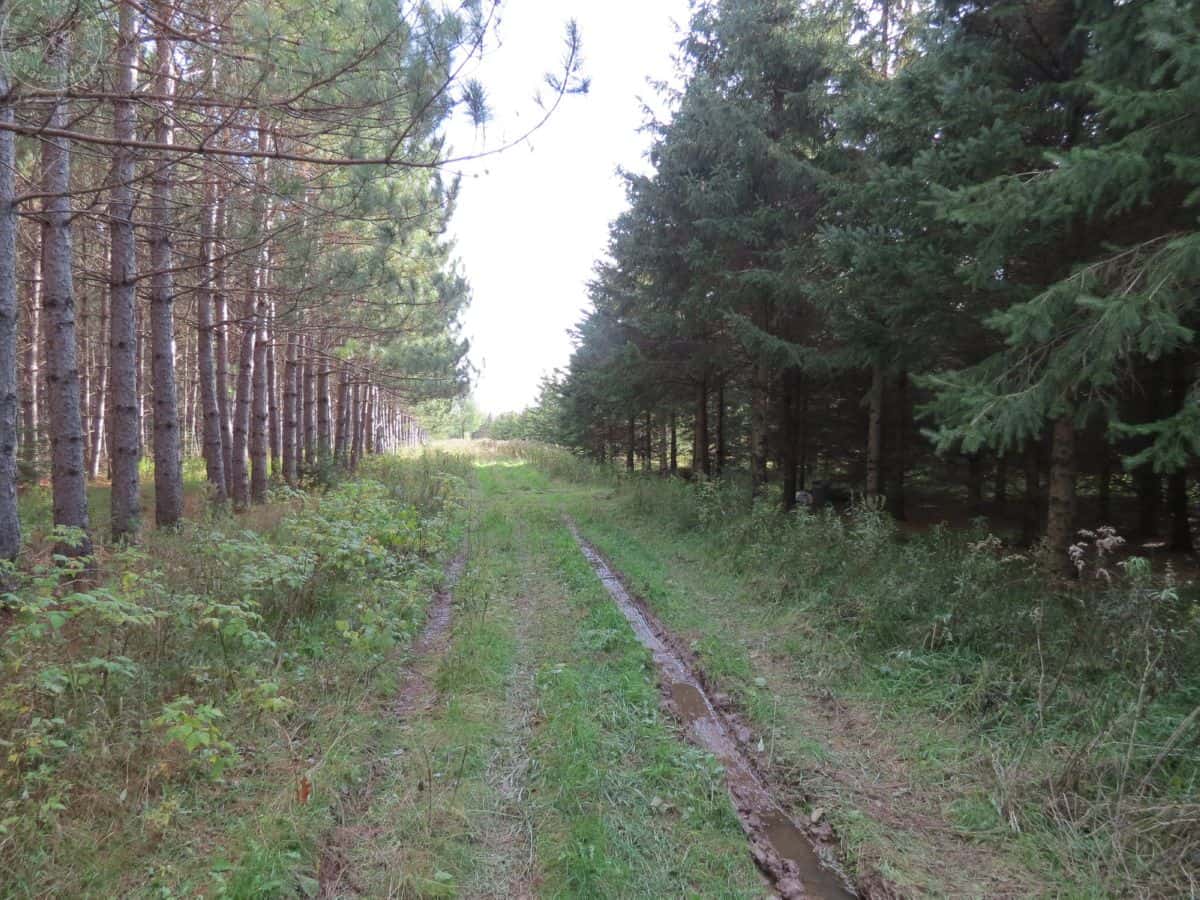 Hunting Land For Sale in Wisconsin Hunting Properties for sale in