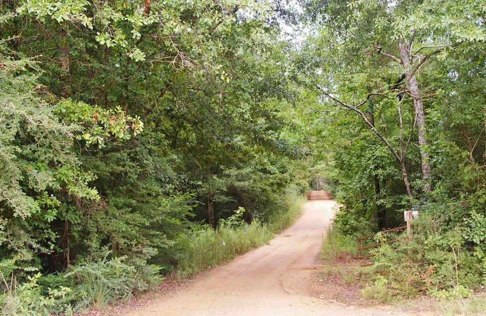 Hunting Land For Sale in Mississippi Hunting Properties for sale in Mississippi