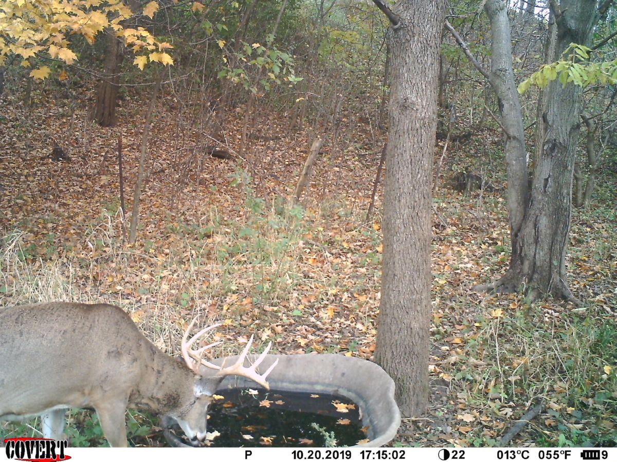 Travis Hamele UC Hunting Properties