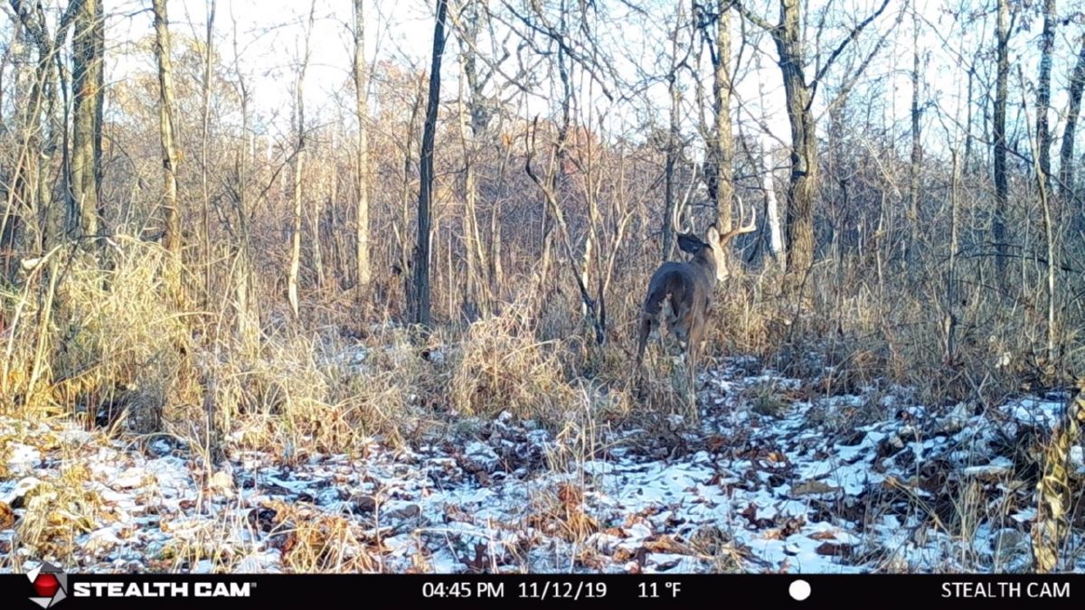 Travis Hamele UC Hunting Properties