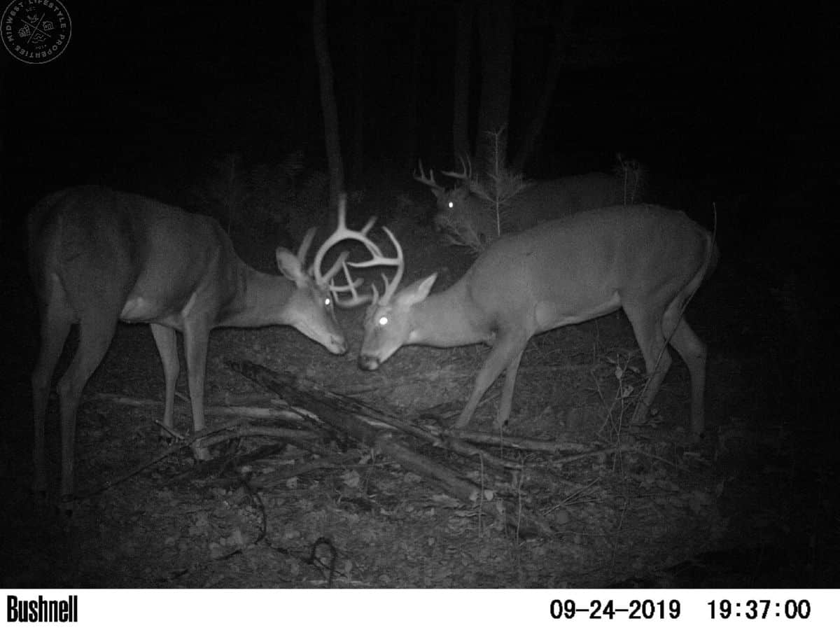 Columbia Hunting Land UC Hunting Properties