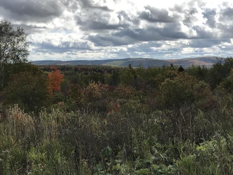 Hunting Land For Sale In Maine Hunting Properties For Sale In Maine
