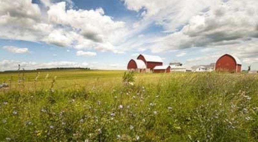 CRP 101: A WIN-WIN FOR LAND OWNERS AND CONSERVATION