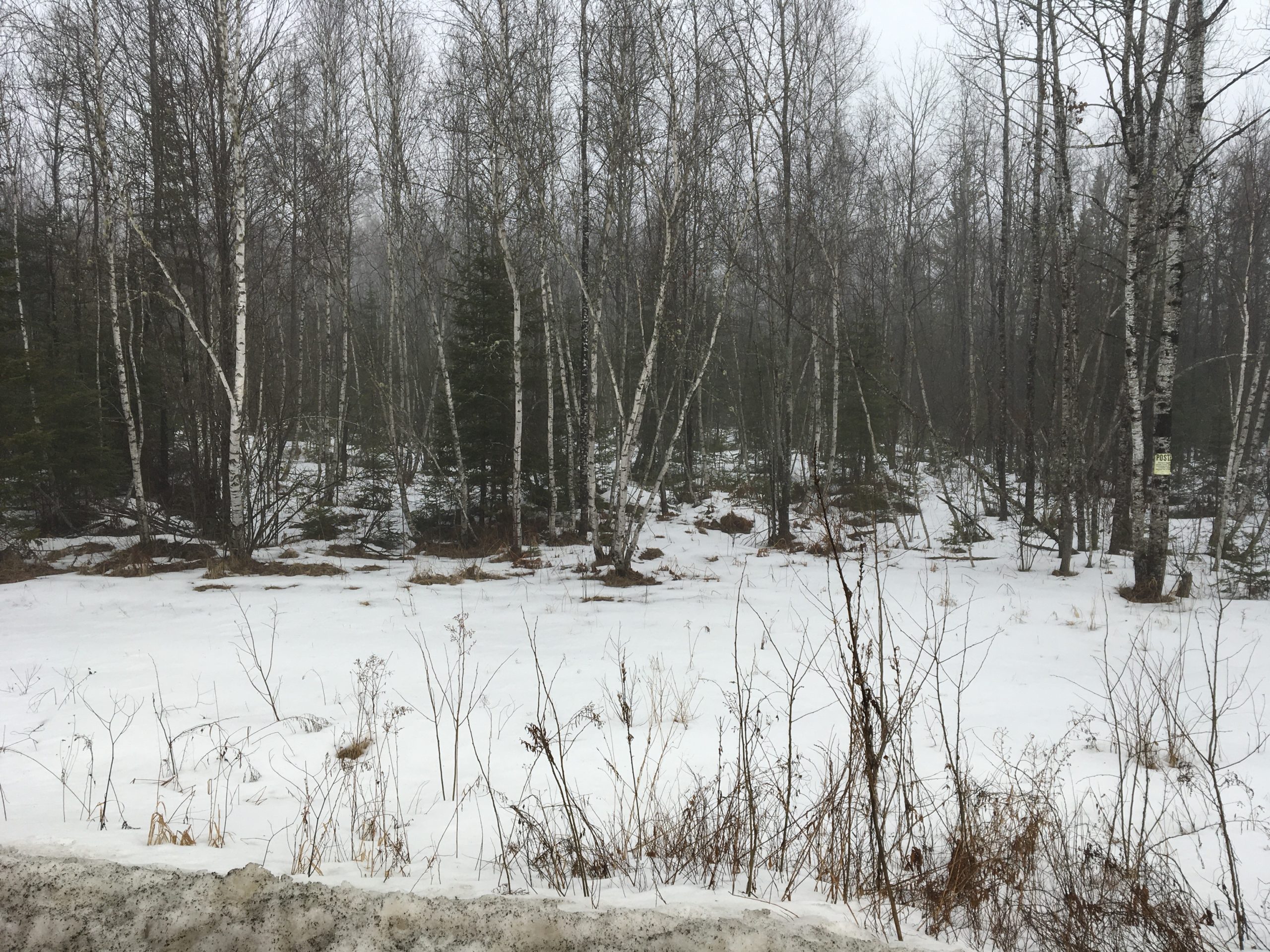 Hunting Land For Sale in Maine Hunting Properties for sale in Maine