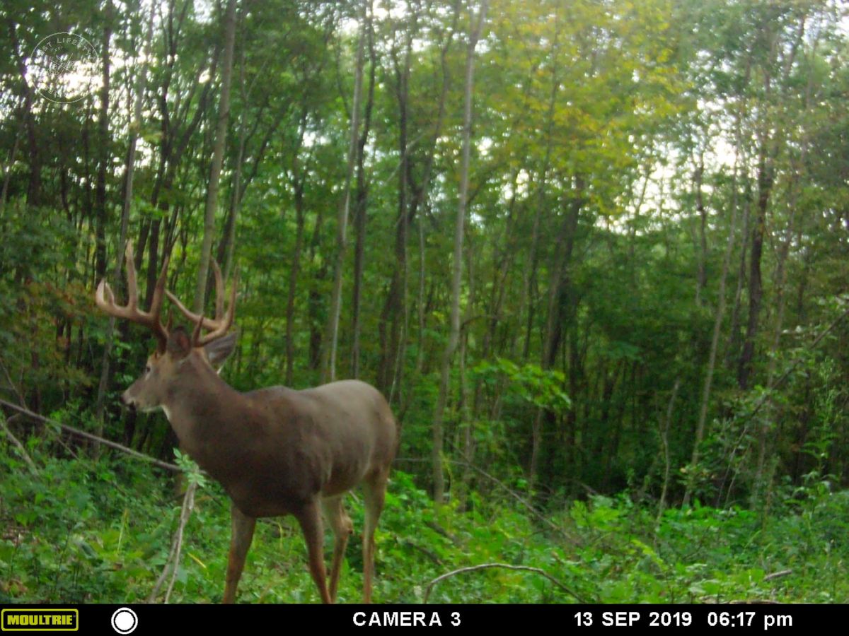 Richland Hunting Land UC Hunting Properties