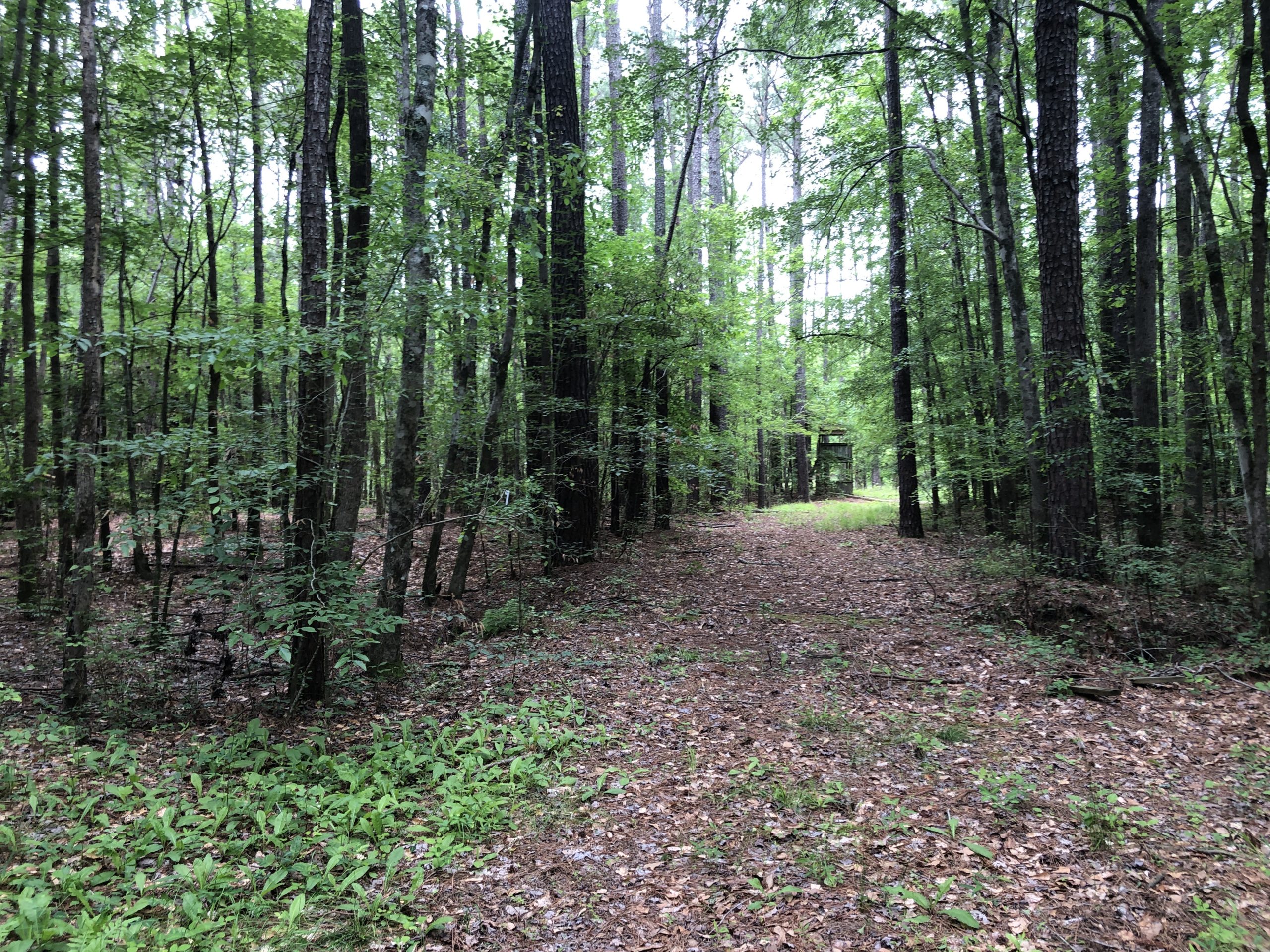 Hunting Land For Sale in North Carolina Hunting Properties for sale in North Carolina