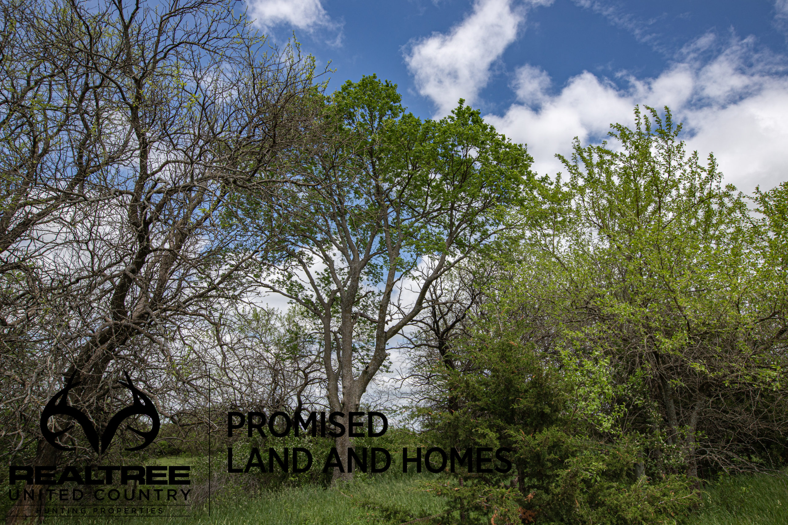 Iowa Hunting Land for Sale UC Hunting Properties