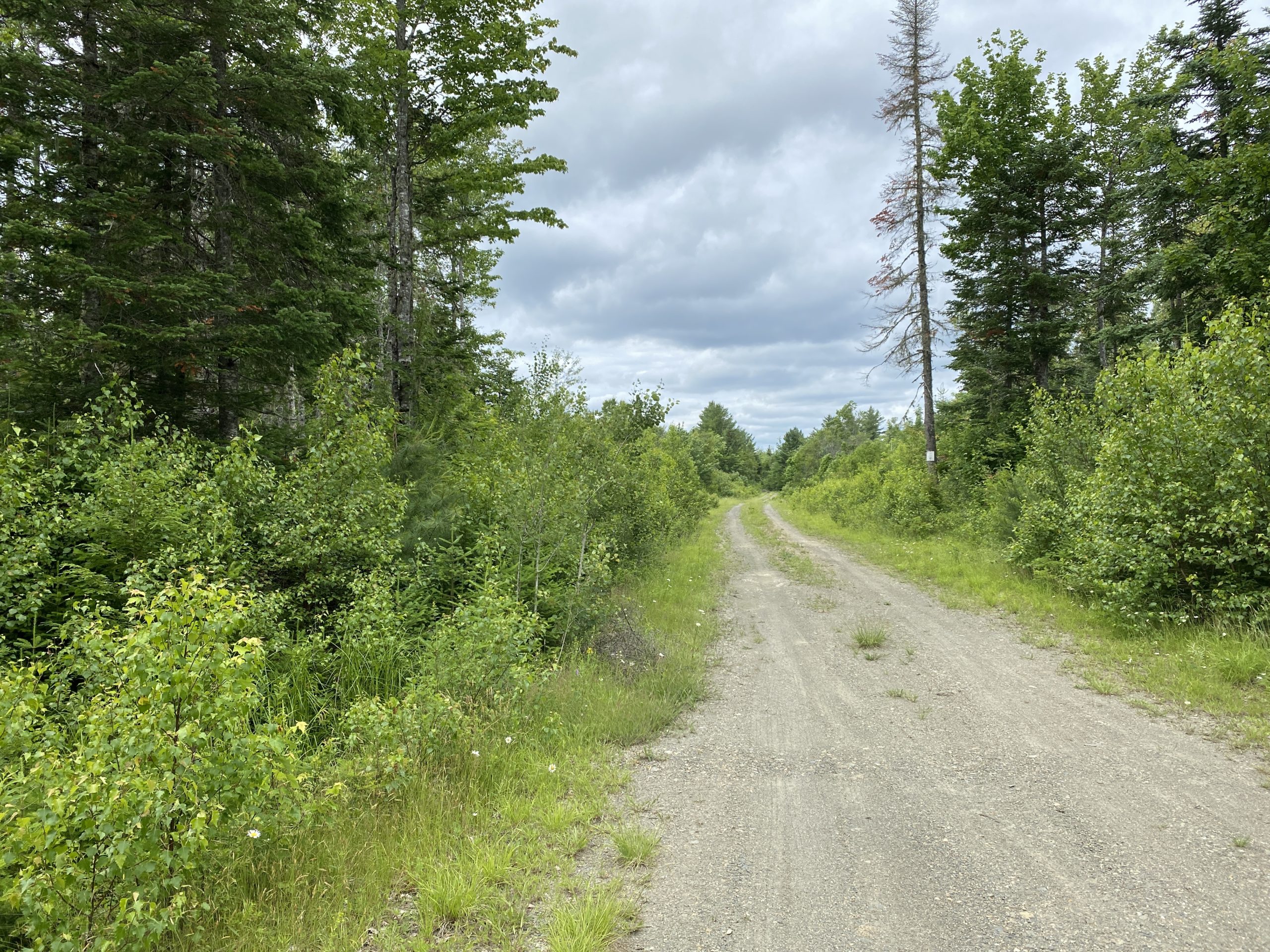 Hunting Land For Sale in Maine Hunting Properties for sale in Maine