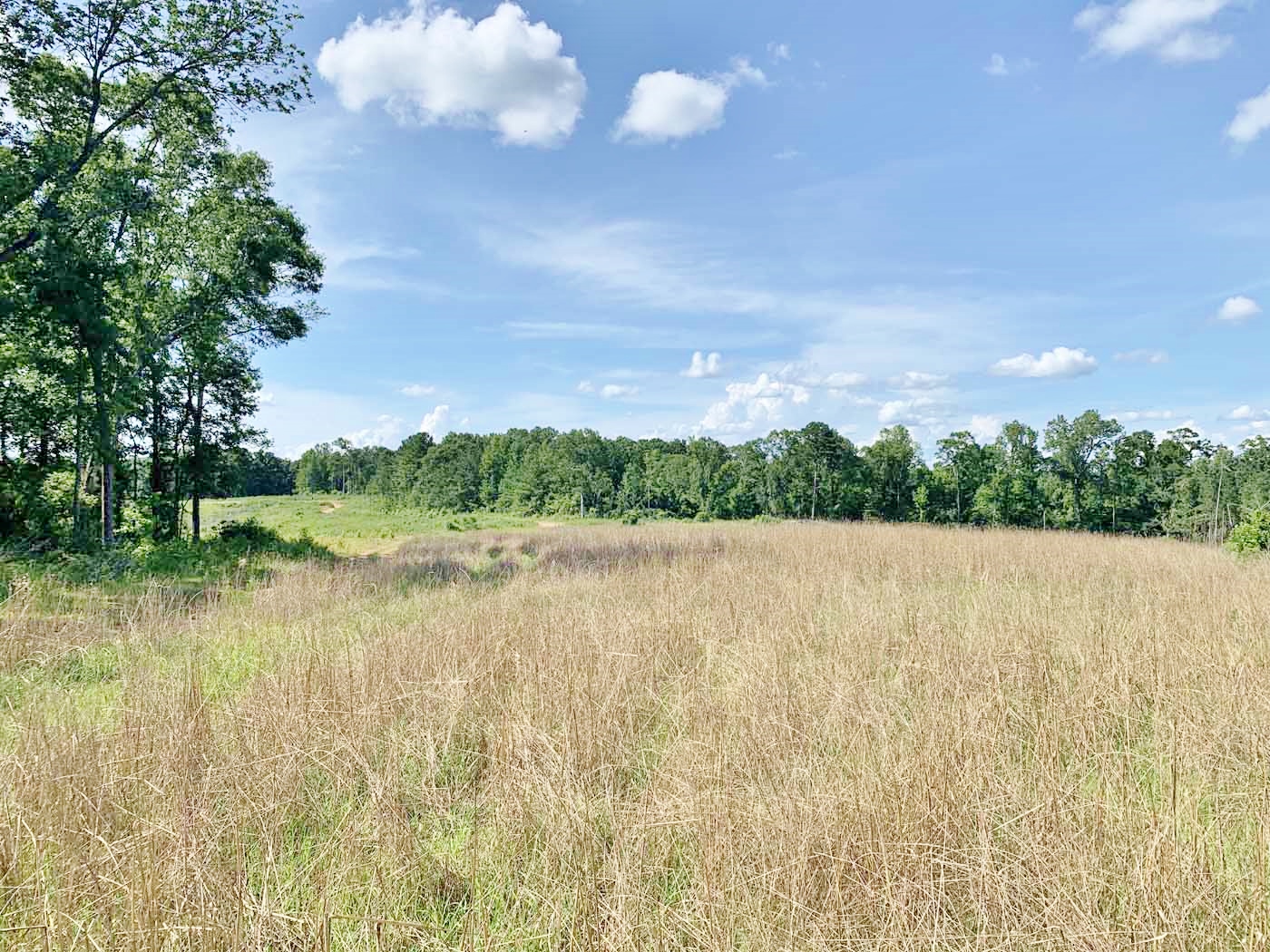 Hunting Land For Sale in Mississippi Hunting Properties for sale in