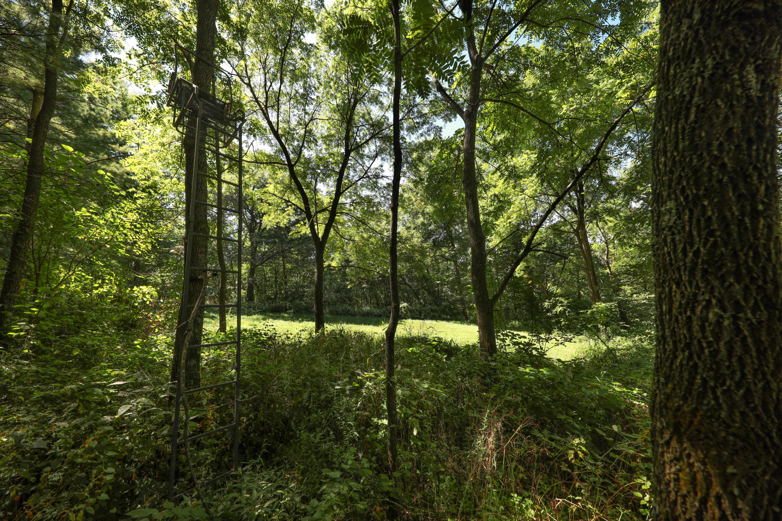 Crawford Hunting Land UC Hunting Properties