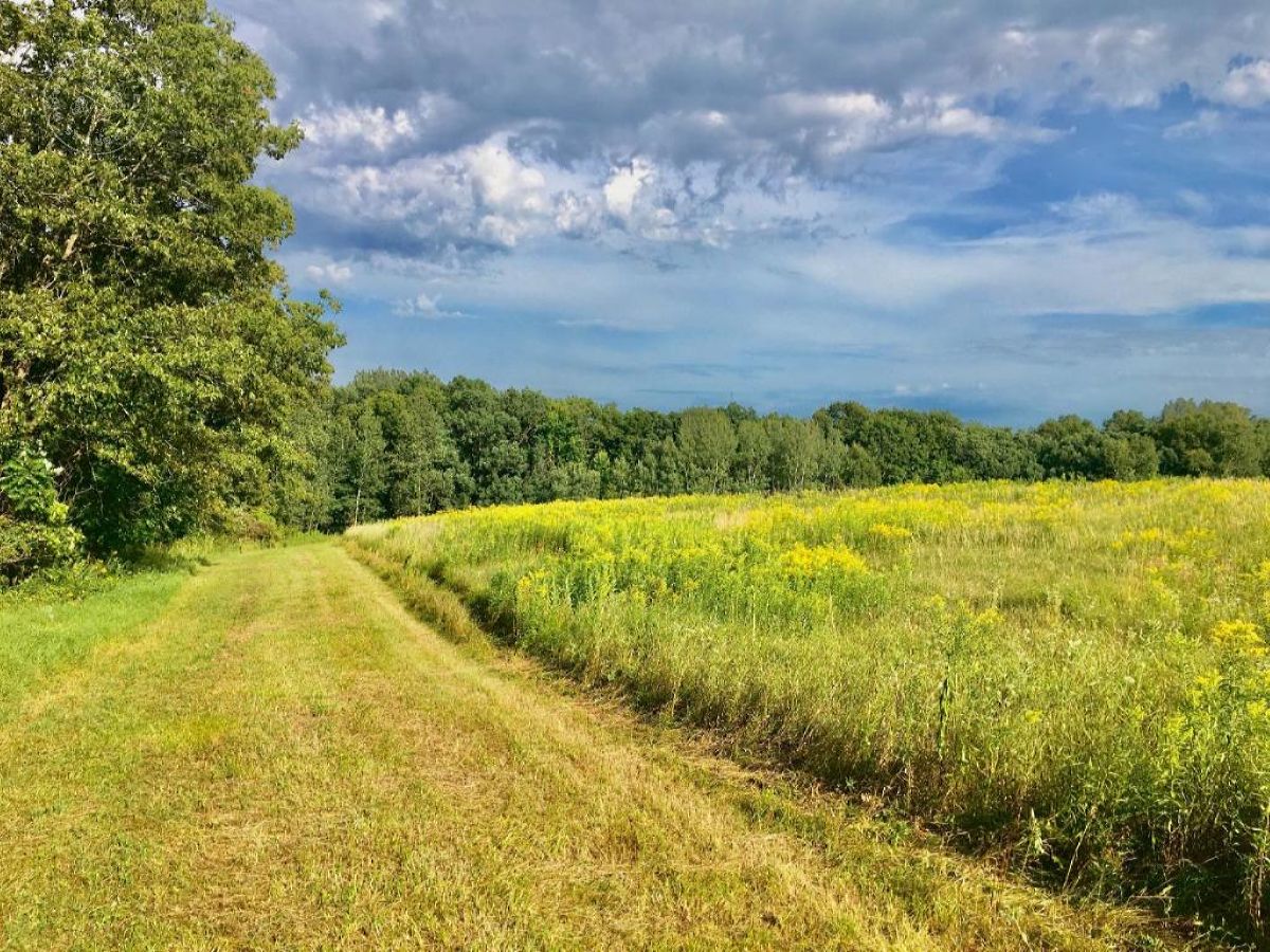 La Crosse Hunting Land UC Hunting Properties