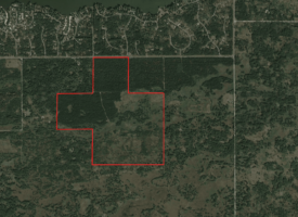 240 acre timber and hunting property for sale in Central Wisconsin