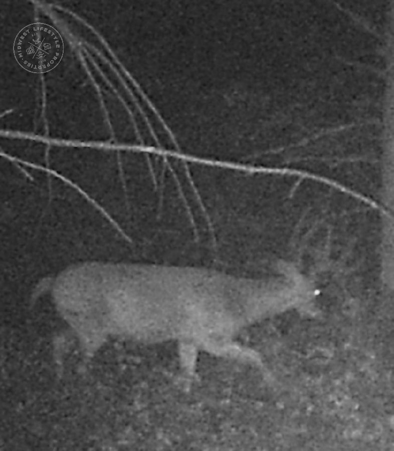 Monroe Hunting Land UC Hunting Properties