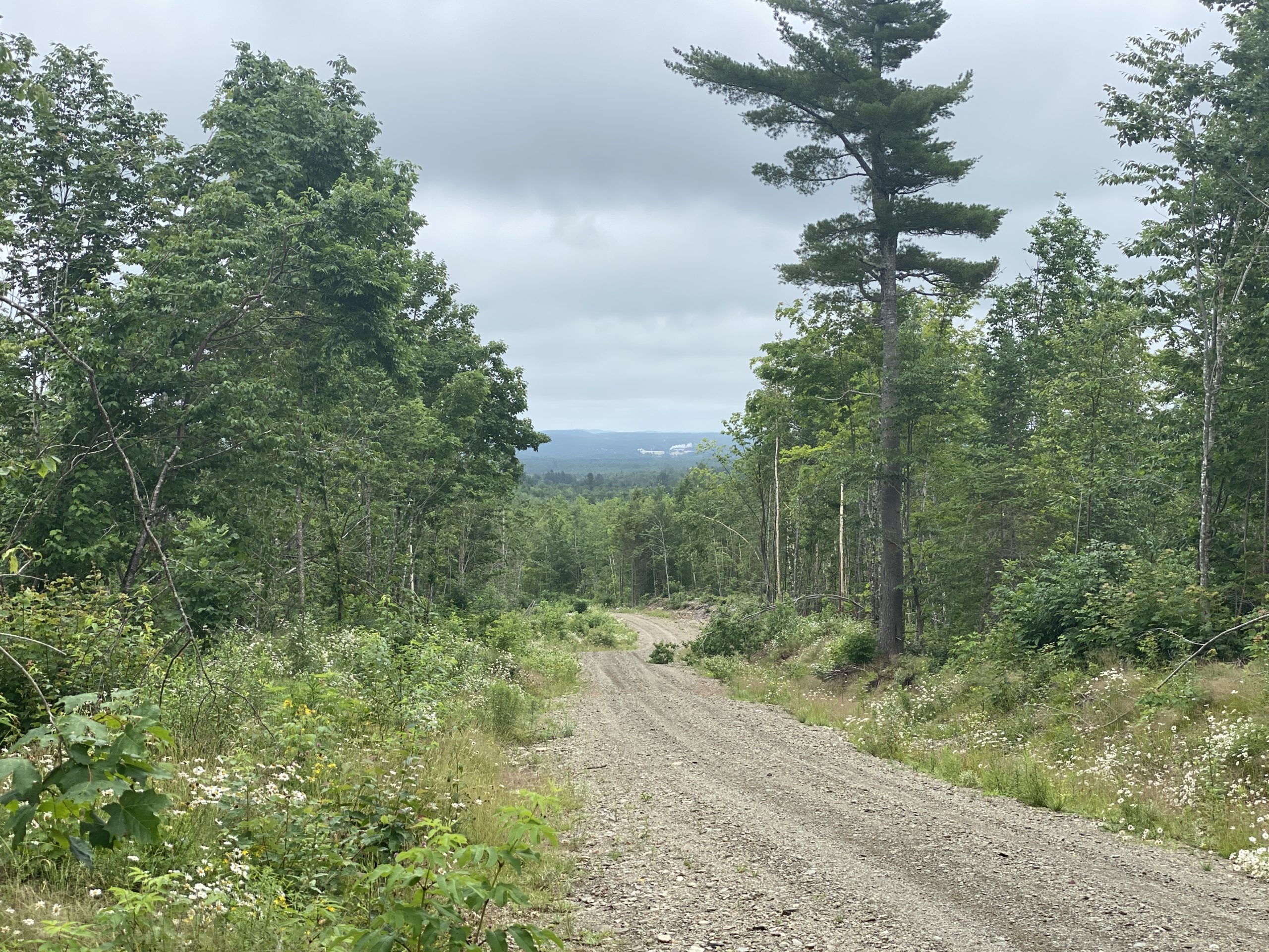 Land For Sale Addison Maine at Claudette Sims blog