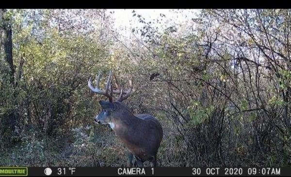 Columbia Hunting Land UC Hunting Properties