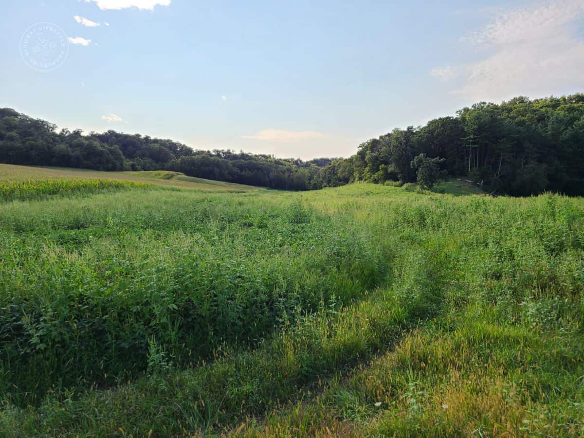 Monroe Hunting Land UC Hunting Properties