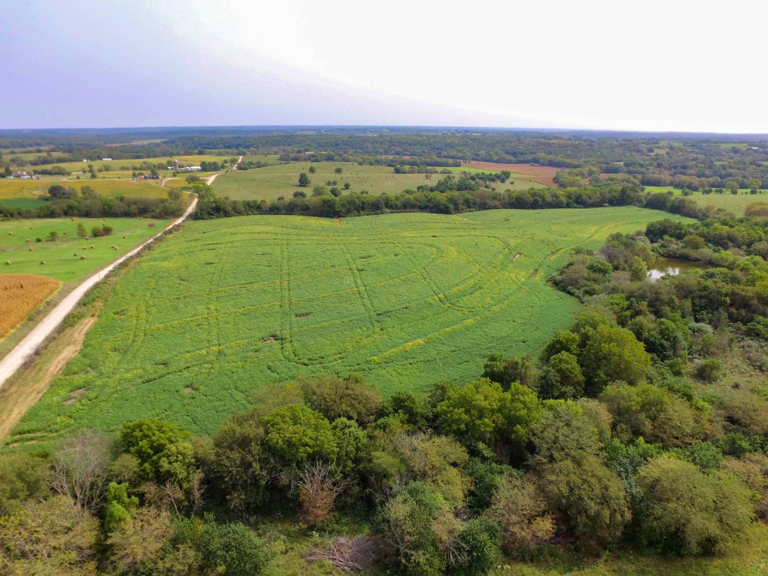 Kansas Hunting Land For Sale