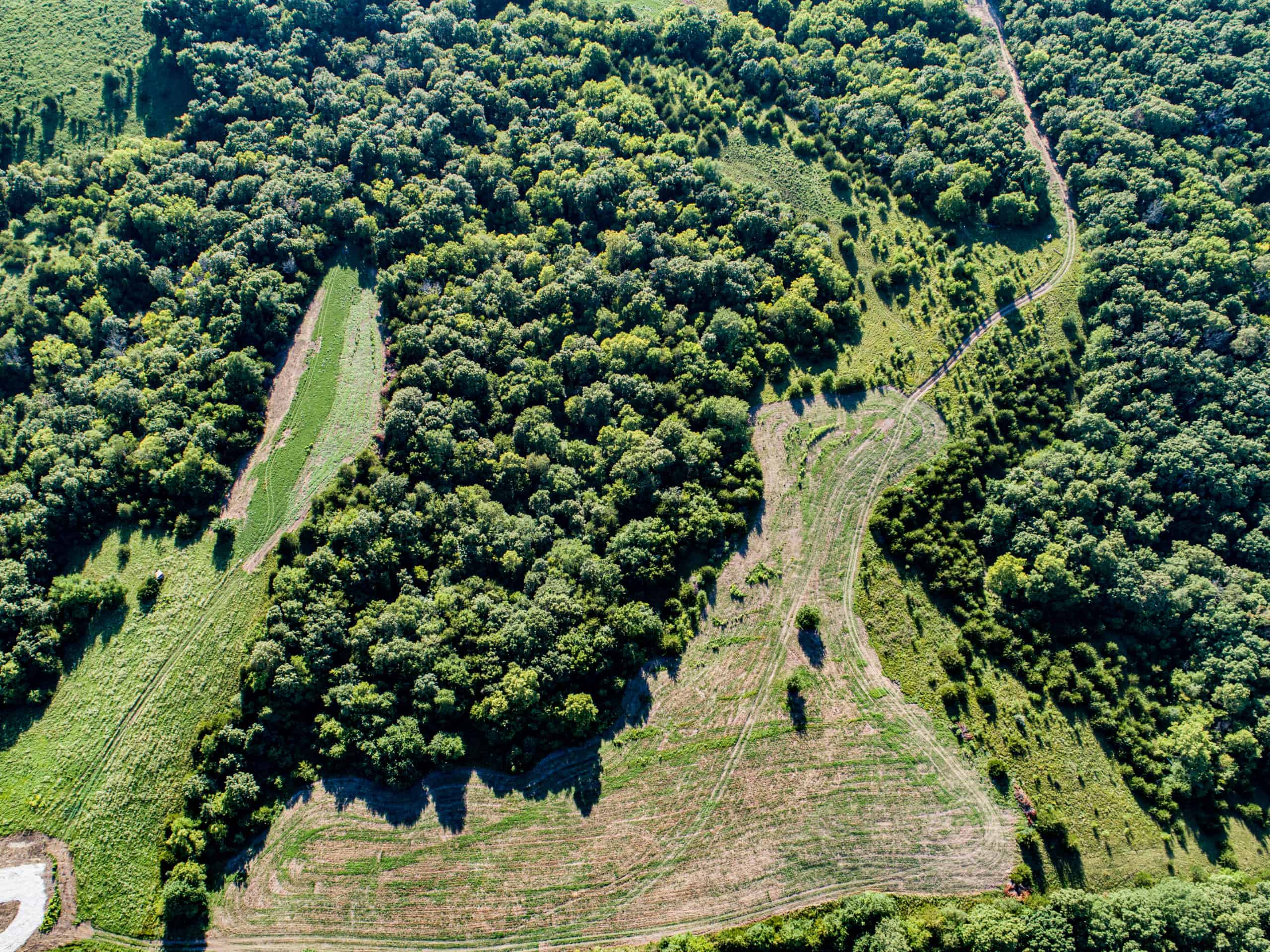 Iowa Hunting Land for Sale UC Hunting Properties