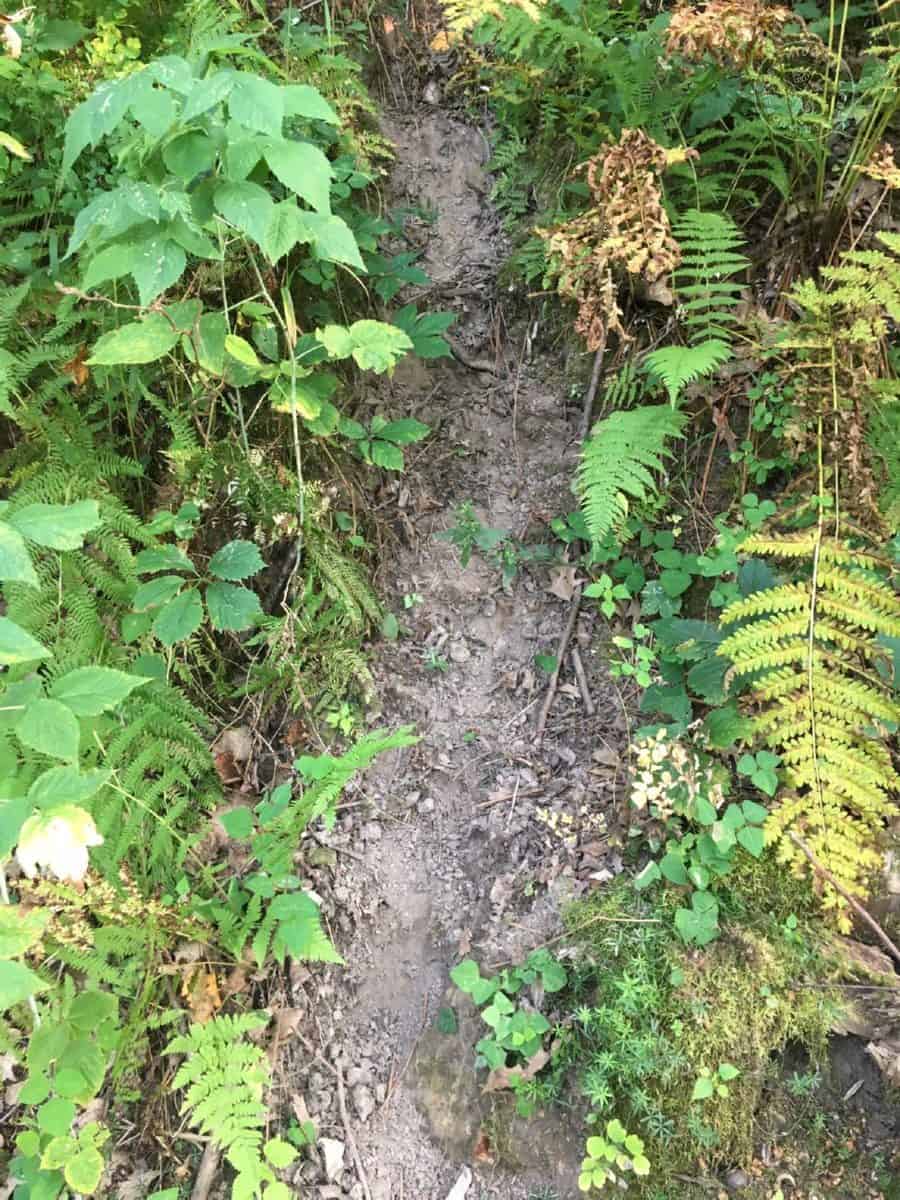 La Crosse Hunting Land UC Hunting Properties