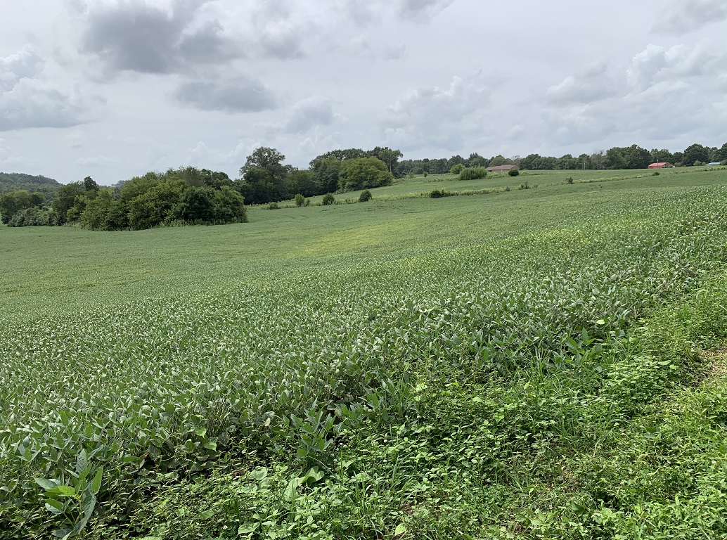 Joey F. Haun UC Hunting Properties