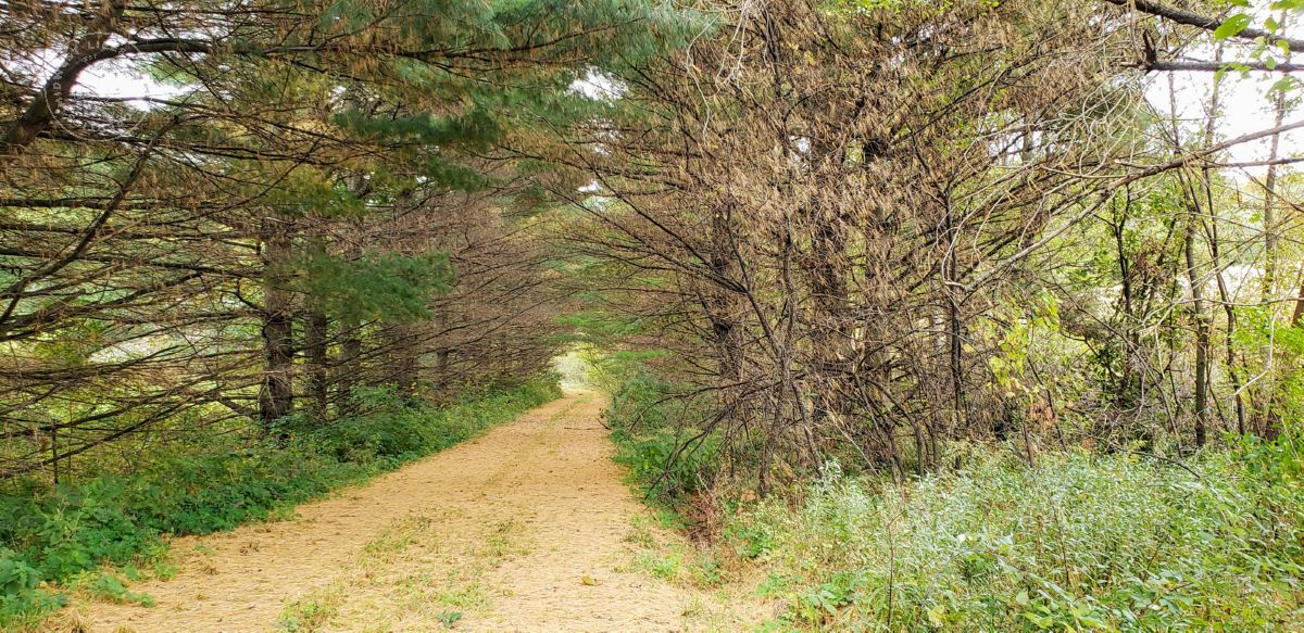 Richland Hunting Land UC Hunting Properties