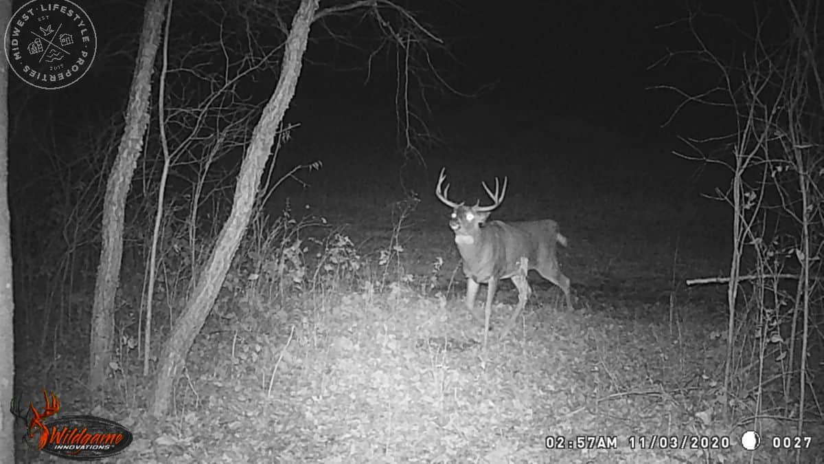 Hunting Land For Sale Columbia County Wi at Doris Folsom blog