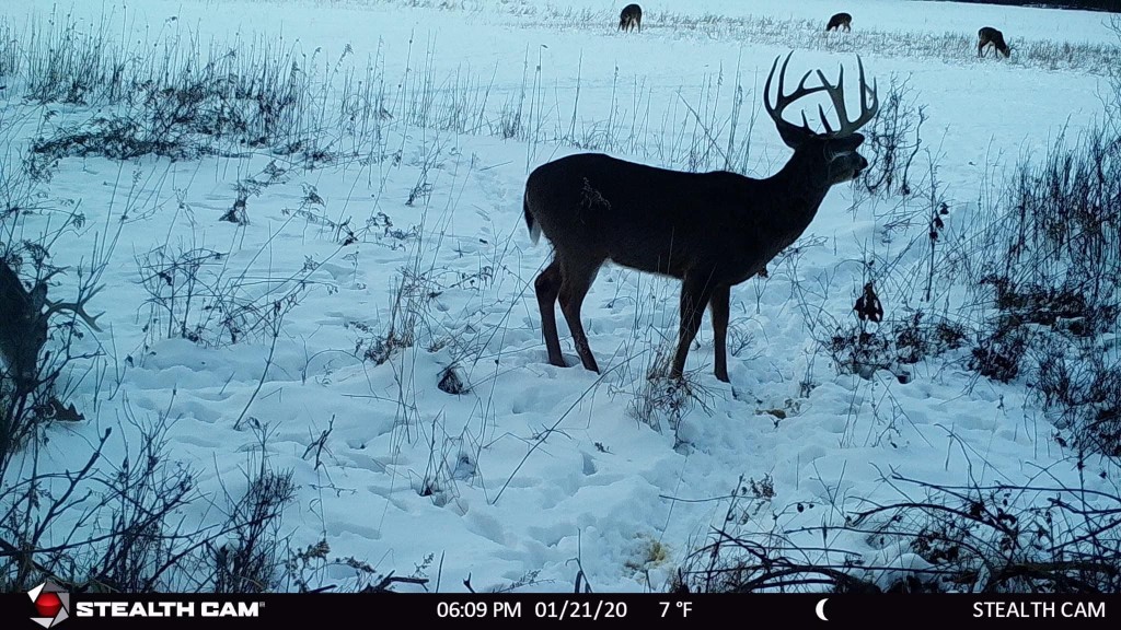 Juneau Hunting Land UC Hunting Properties