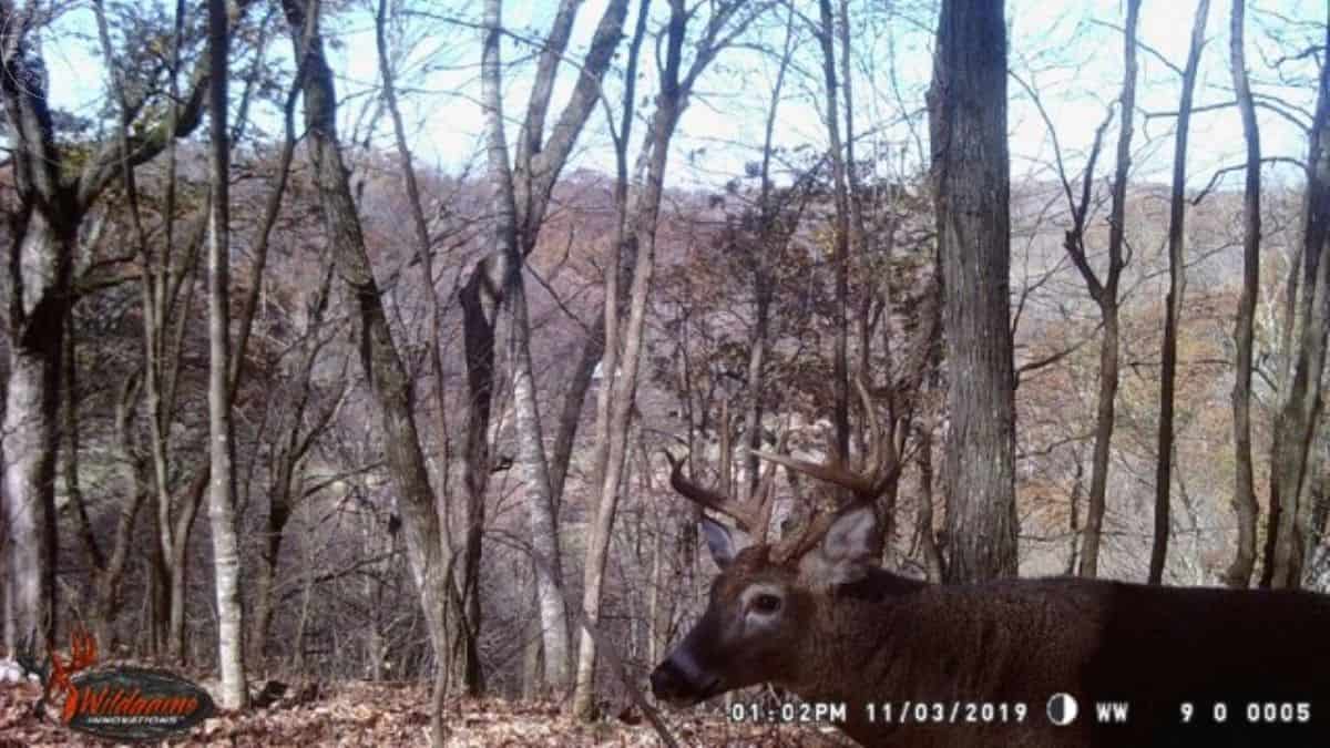 Richland Hunting Land UC Hunting Properties