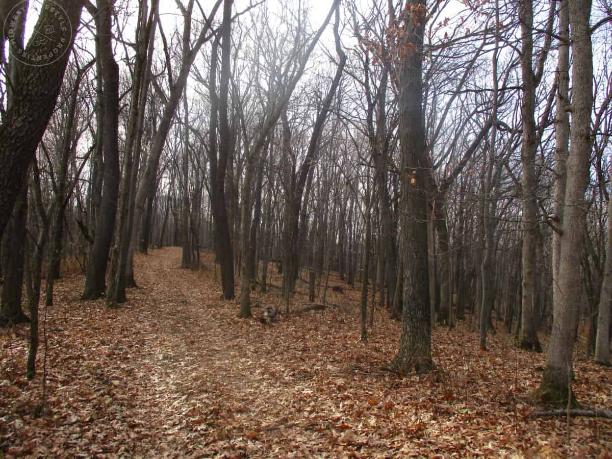 Properties UC Hunting Properties