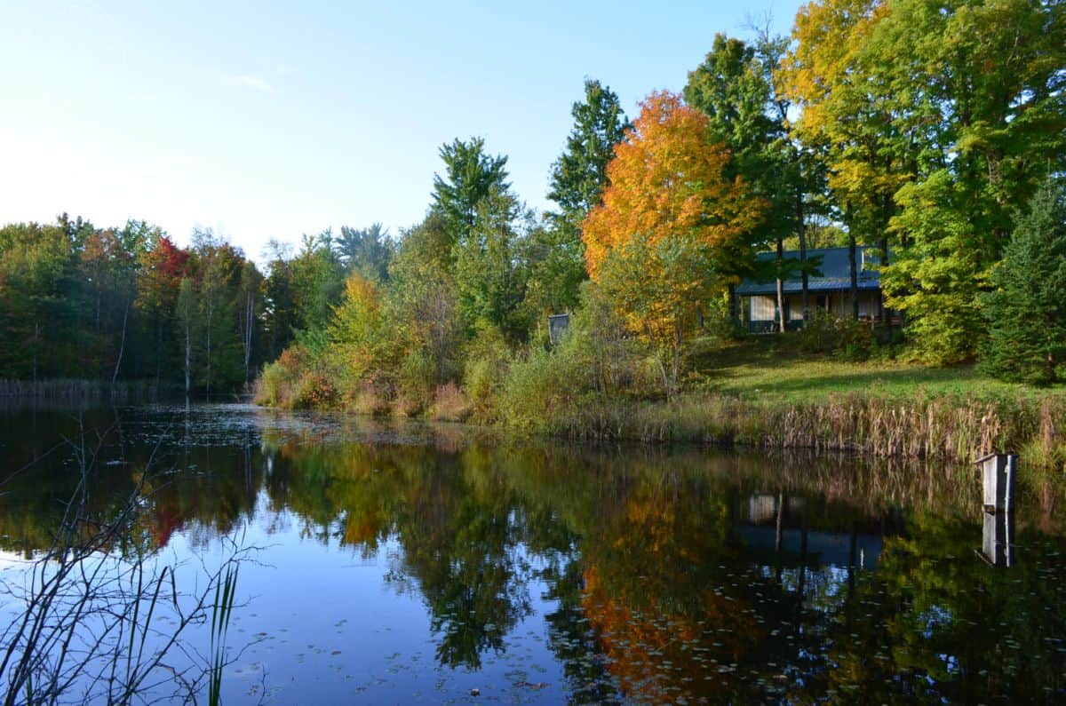 Well managed hunting parcel with cabin in Lincoln County
